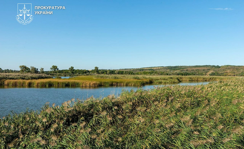 6,9 млн грн збитків: на Дніпропетровщині судитимуть колишнього посадовця лісгоспу за незаконну вирубку дерев