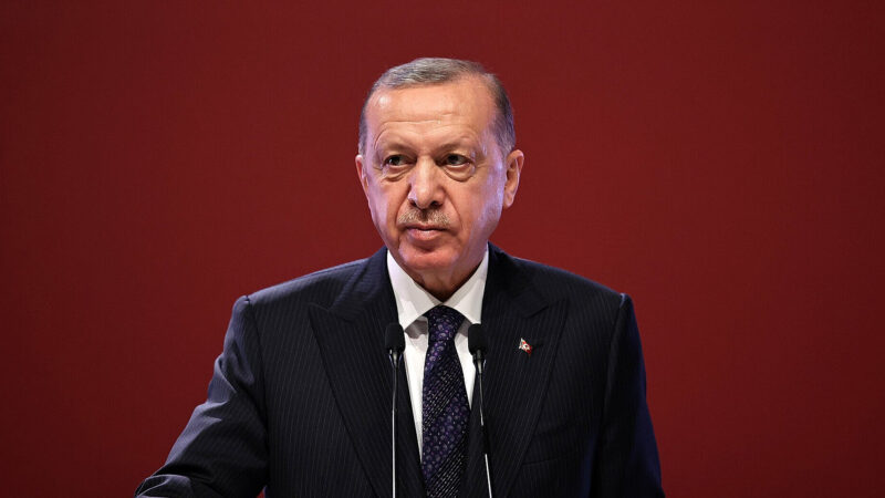 Ердоган заявив, що буде розмовляти з Путіним про війну в Україні