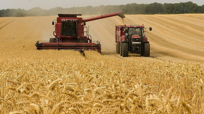 Аграрії отримають 127 млн грн компенсації за українську техніку