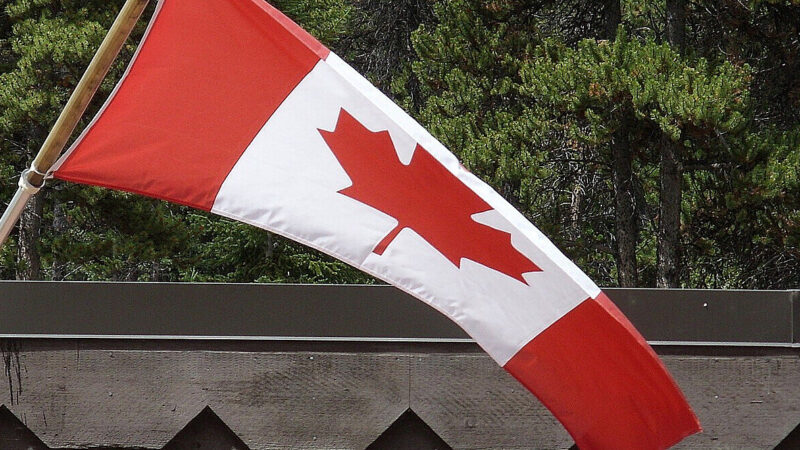 Канада достроково надала $10 млн на ремонт енергетики України