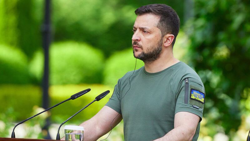 Зеленський не підтримує ідею про вступ України до ЄС з частковими правами