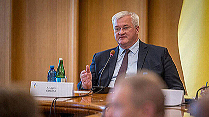 Сибіга розповів главі МЗС Швеції про розслідування корупційних скандалів