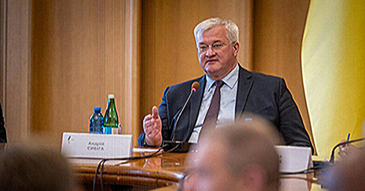 Сибіга розповів главі МЗС Швеції про розслідування корупційних скандалів