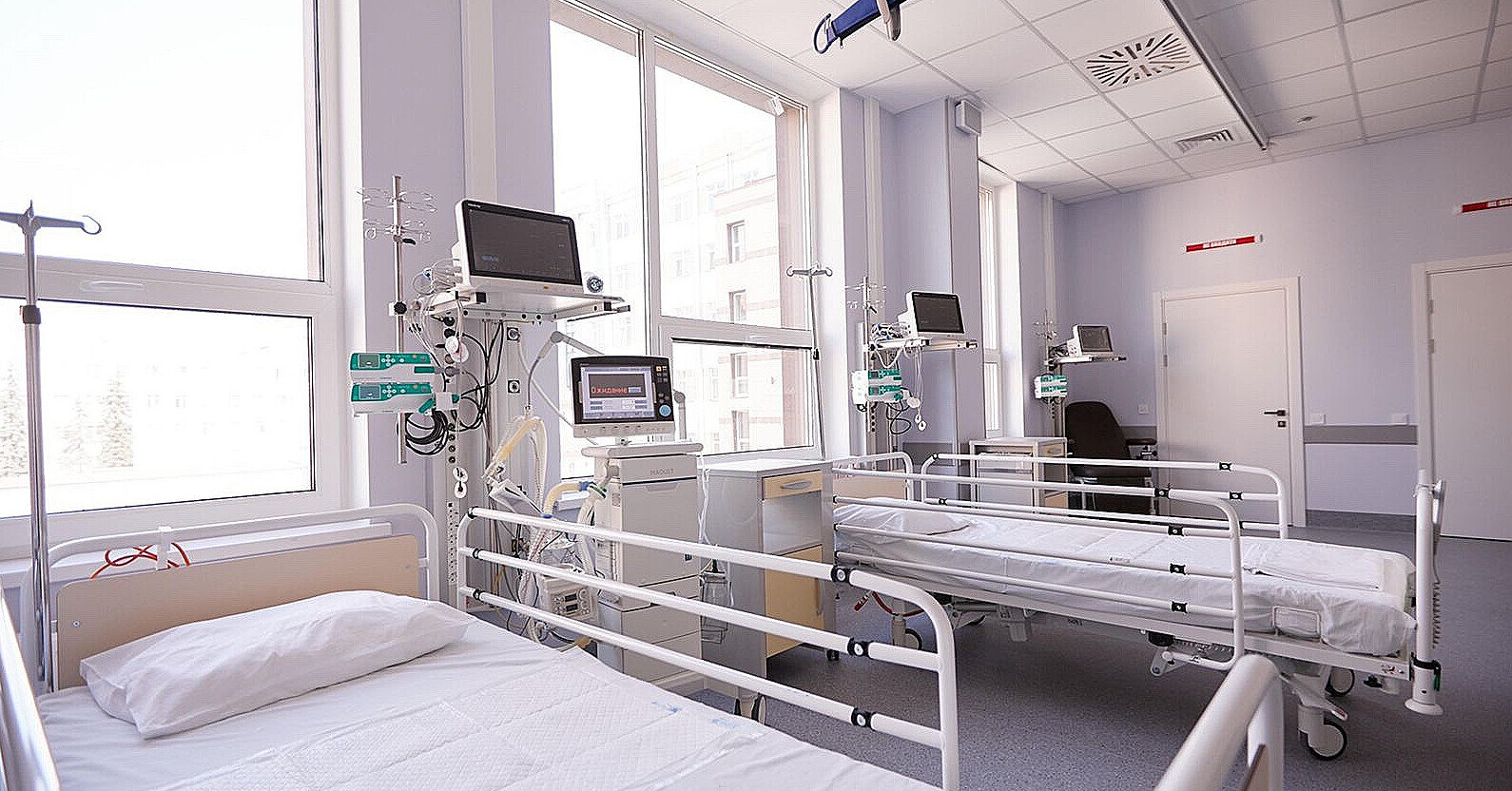 У США зафіксували першу смерть від пташиного грипу H5N5