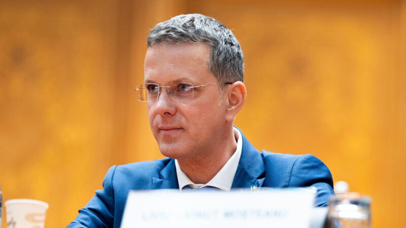 Міністр оборони Румунії подав у відставку через неправдиві дані у резюме