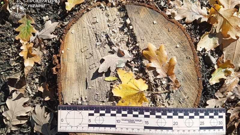 Понад 1 млн грн збитків довкіллю: прокуратура Дніпропетровщини вимагає відшкодування