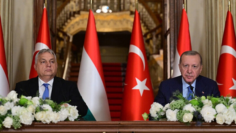 Эрдоган поделился с Орбаном видением относительно завершения войны между Украиной и РФ
