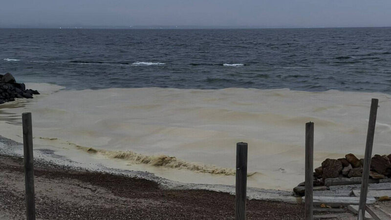 Прокурори почали розслідувати витік олії в море біля Одеси