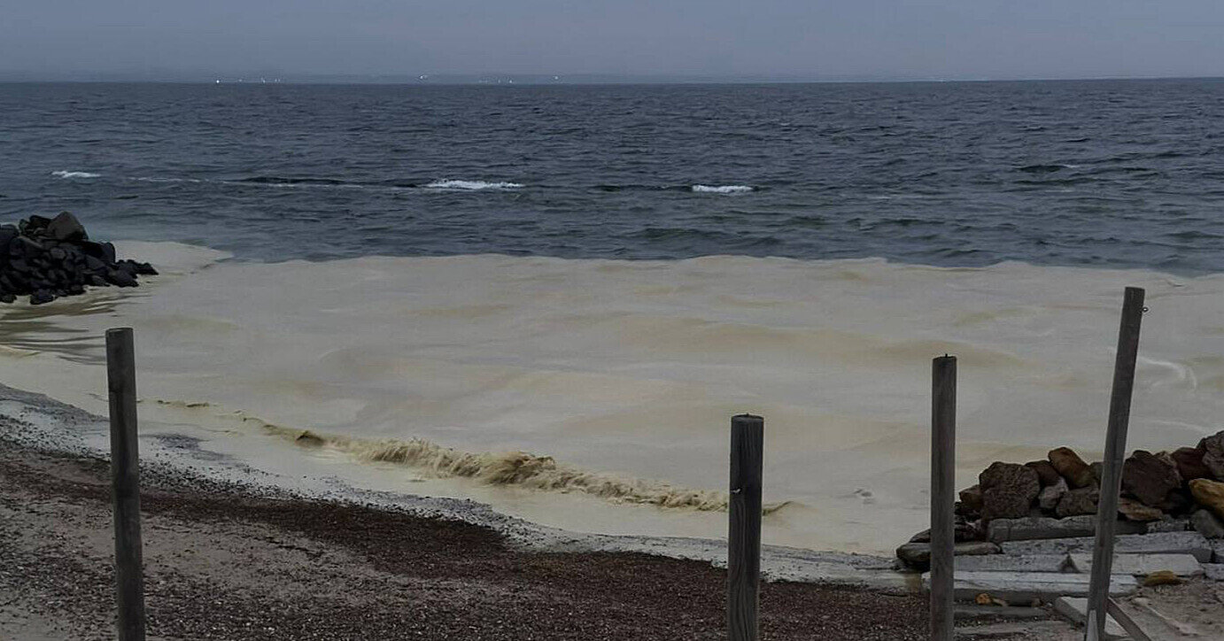 Прокурори почали розслідувати витік олії в море біля Одеси