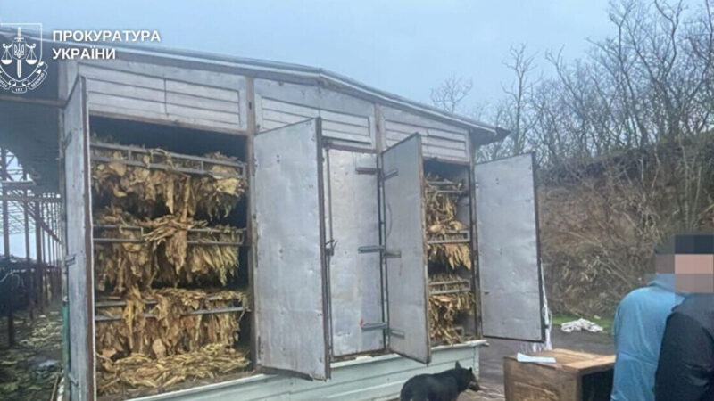 У кількох областях викрили підпільне виготовлення тютюну на 25 млн грн