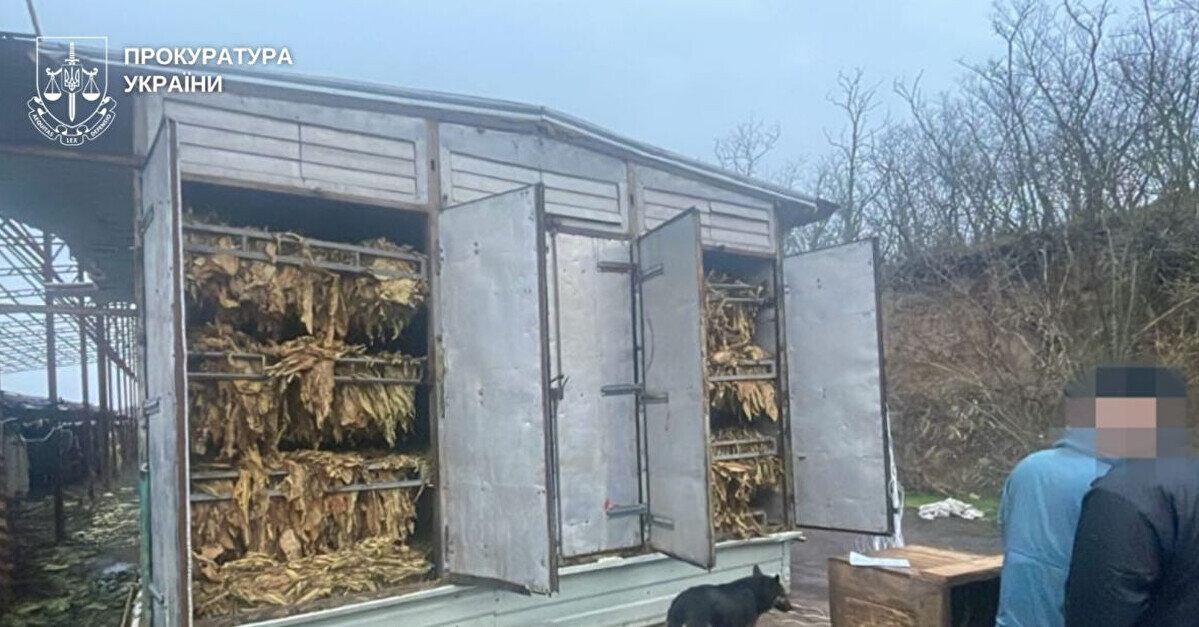 У кількох областях викрили підпільне виготовлення тютюну на 25 млн грн