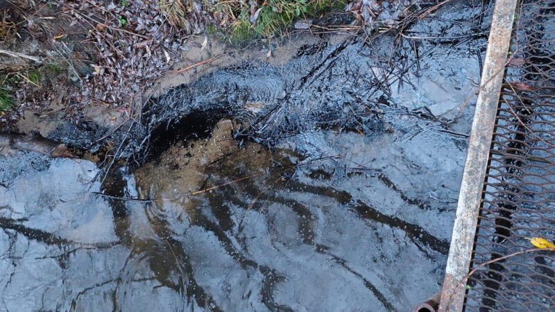 На Вінниччині стався викид мазуту в Південний Буг біля Ладижинської ТЕС