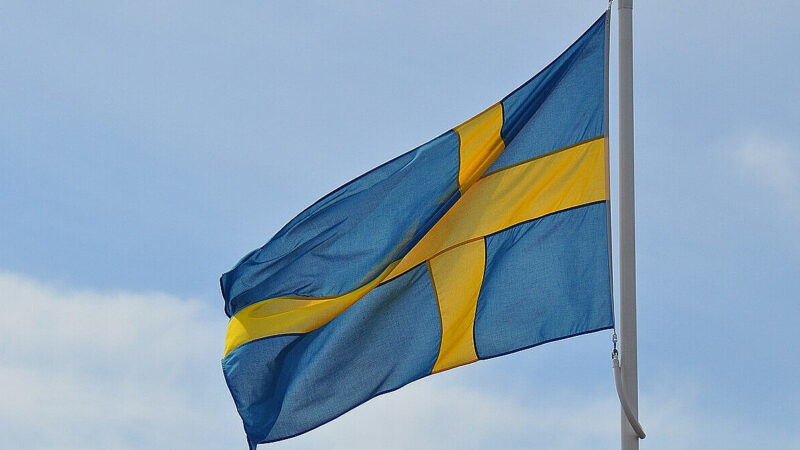 Швеція скерувала додаткові 64 млн євро на підтримку енергетики України