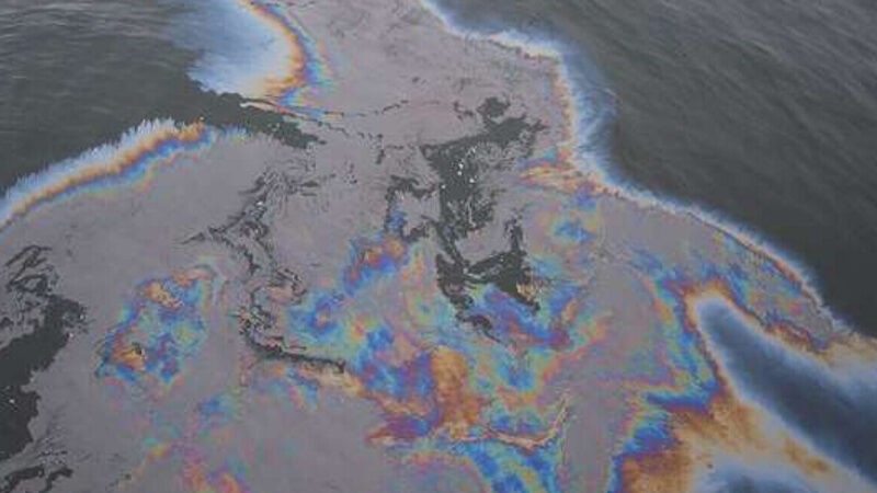 На пляжах Одеси виявили плями, схожі на нафтові, та загиблих птахів