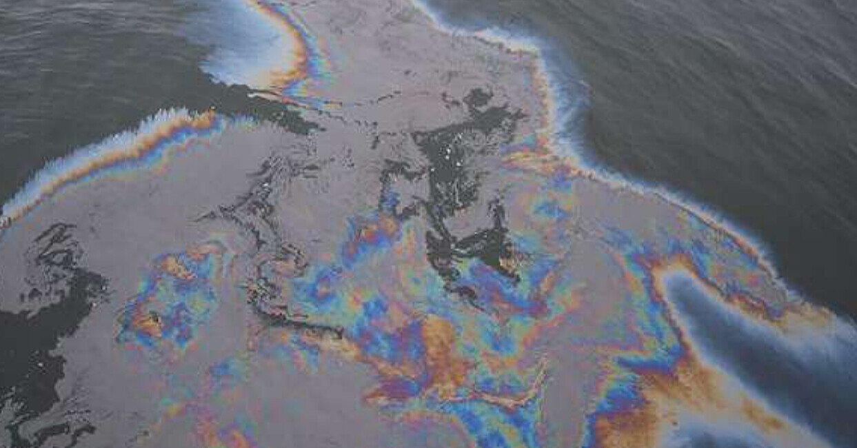 На пляжах Одеси виявили плями, схожі на нафтові, та загиблих птахів