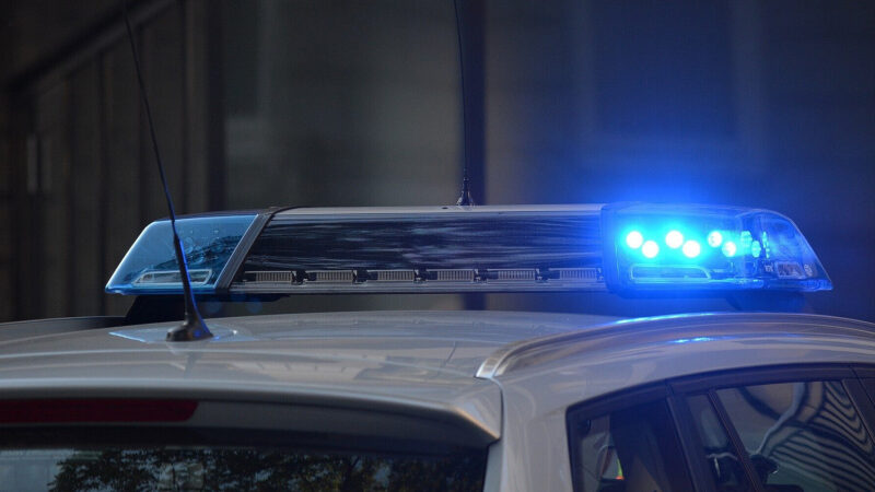 Вбивство 21-річного українця у Відні: поліція затримала двох підозрюваних