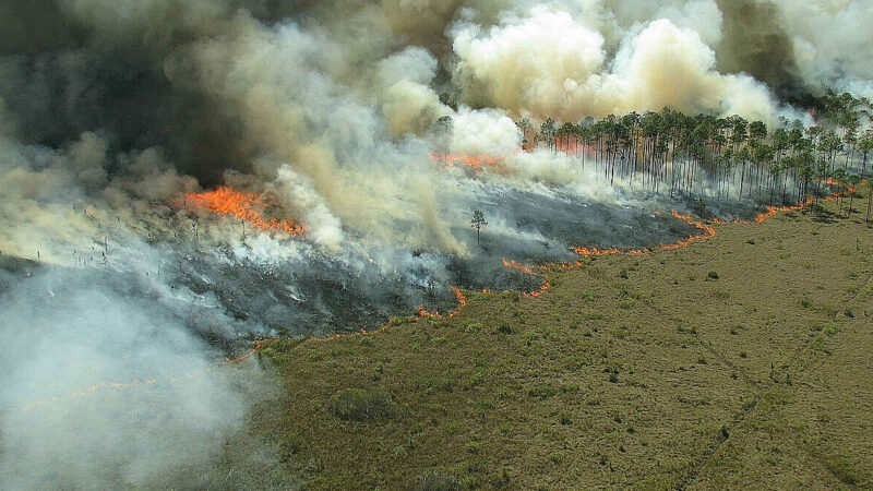 У Чилі масштабні пожежі: відомо про загиблих, згоріли тисячі гектарів лісу та сотні будинків