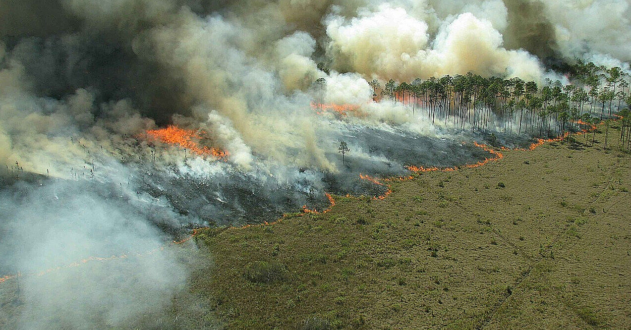 У Чилі масштабні пожежі: відомо про загиблих, згоріли тисячі гектарів лісу та сотні будинків