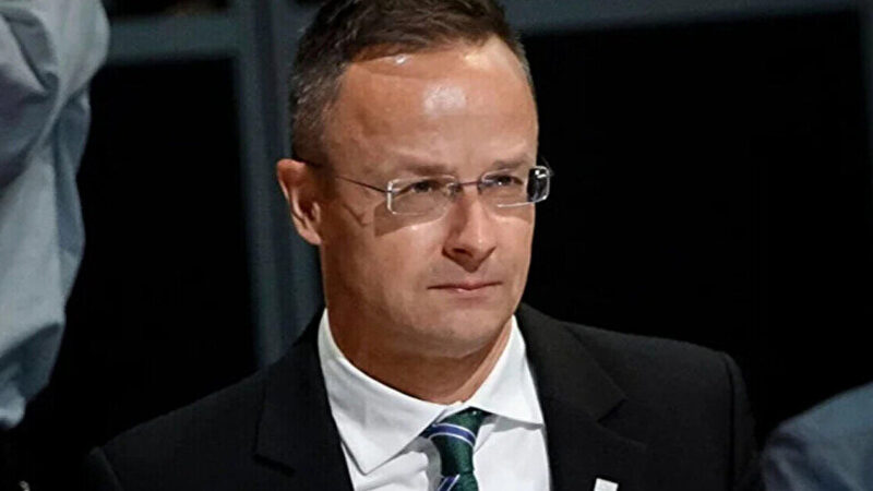 Посла України викликали в МЗС Угорщини через “безсоромне втручання” у вибори