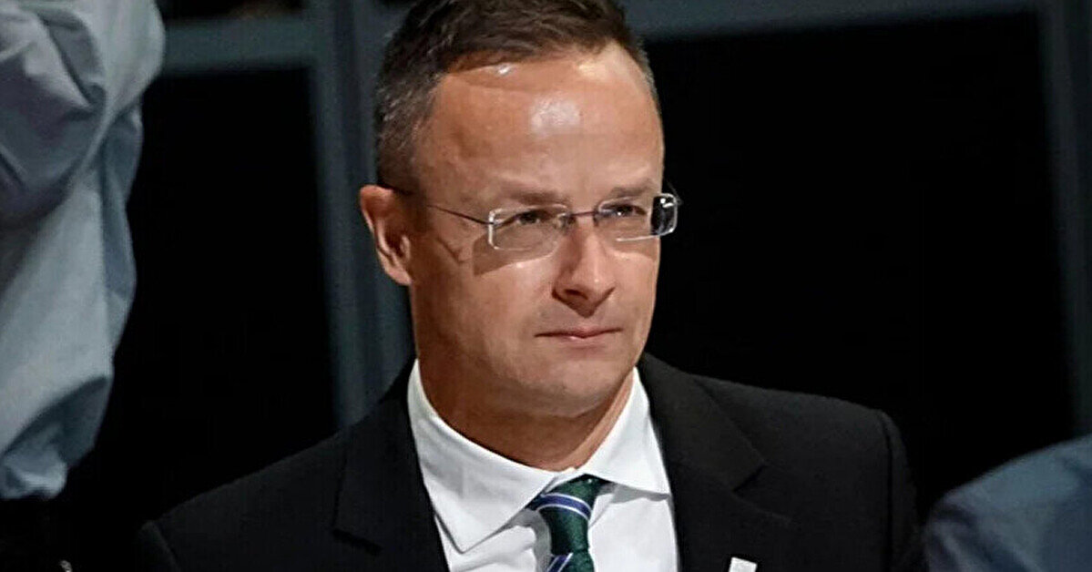 Посла України викликали в МЗС Угорщини через “безсоромне втручання” у вибори