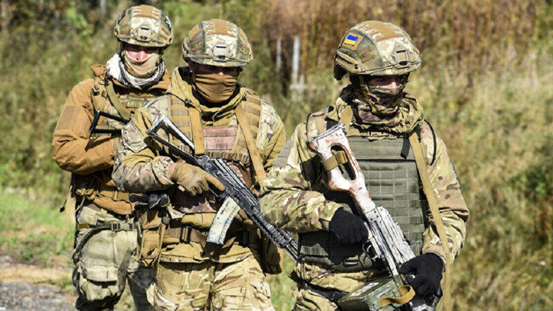 Україна вийшла на новий рівень військових навчань з НАТО – посол