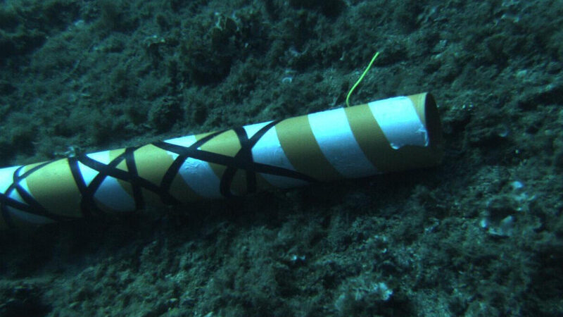 Між Естонією та Фінляндією пошкодили один з підводних кабелів зв’язку