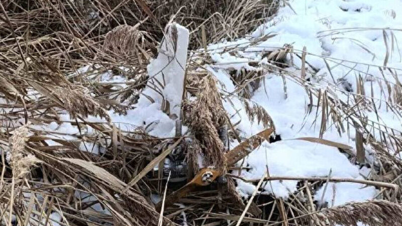 В Молдові виявили невідомий безпілотник на березі озера