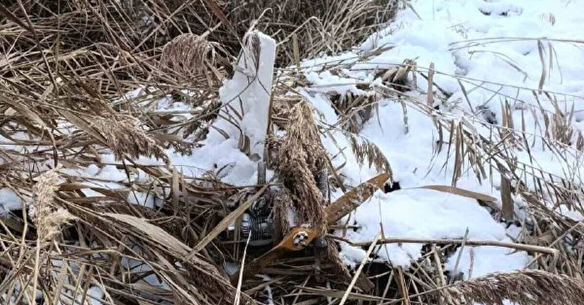 В Молдові виявили невідомий безпілотник на березі озера