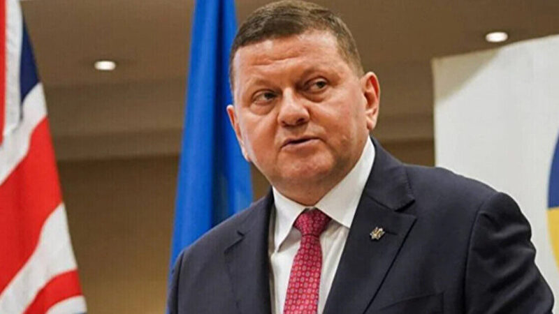 Сибіга прокоментував чутки про підготовку відставки Залужного з посади посла