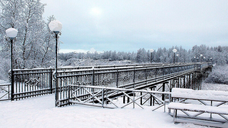 Синоптики прогнозують морози до -30: Україну накриє найхолодніша хвиля зими
