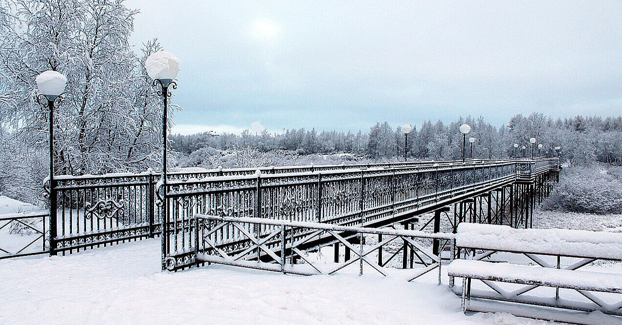 Синоптики прогнозують морози до -30: Україну накриє найхолодніша хвиля зими