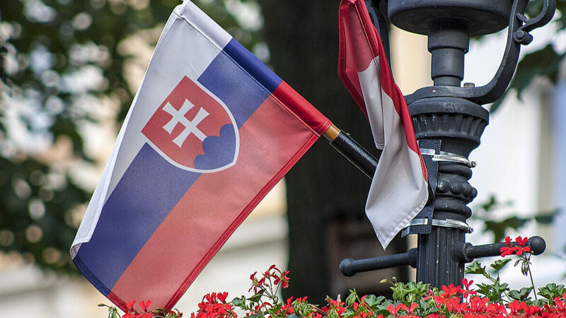 Представники влади Словаччини підтвердили відмову від військової підтримки України