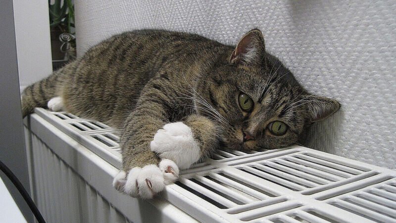 Частині киян можуть повернути опалення вже сьогодні ввечері – мер