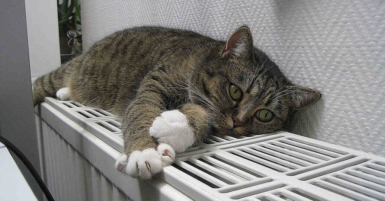 Частині киян можуть повернути опалення вже сьогодні ввечері – мер