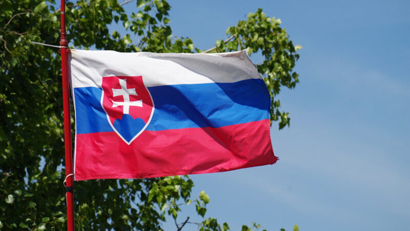 У Словаччині зібрали 350 тисяч підписів за референдум про дострокові вибори
