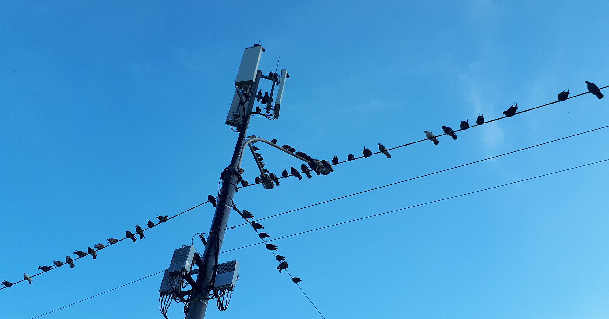 На Одещині від ліній критичної інфраструктури від’єднали майже 100 тисяч абонентів