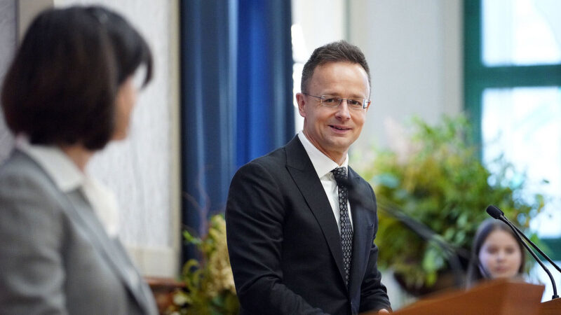 МЗС Угорщини: Переговори з Грузією про вступ до ЄС набагато корисніші, ніж з Україною