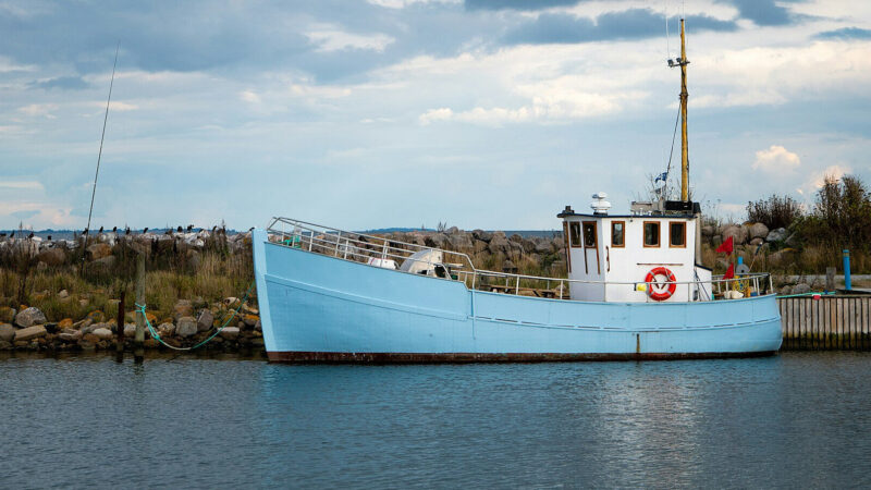 Аукціони на промисловий вилов риби принесли бюджету 52 млн грн