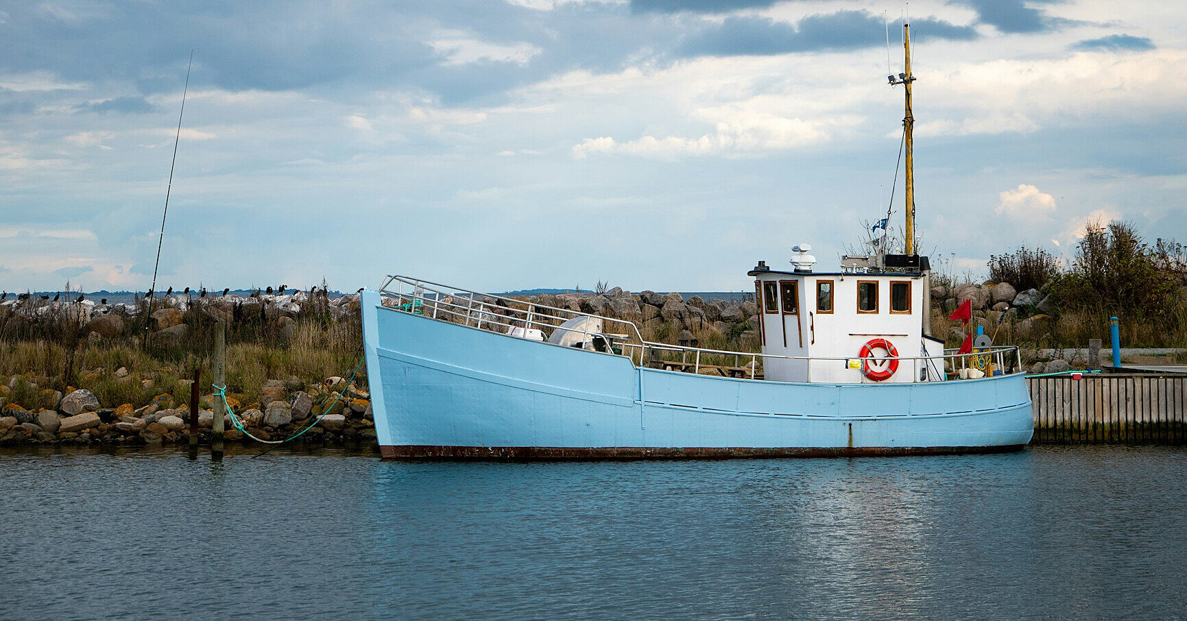 Аукціони на промисловий вилов риби принесли бюджету 52 млн грн