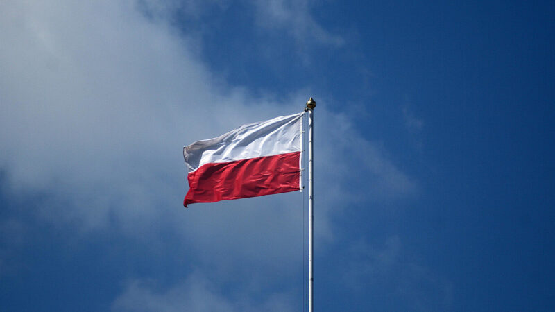 В Польщі партія прем’єра зберігає лідерство, ультраправа “Конфедерація” – третя