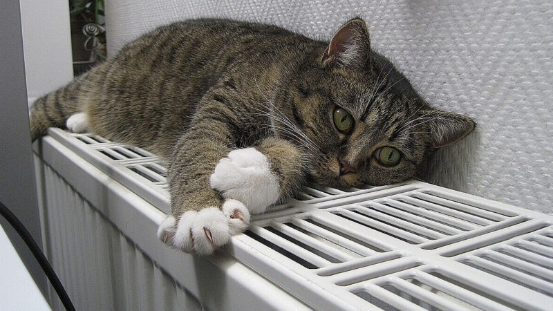 У Мінрозвитку стверджують, що відновлено теплопостачання на Троєщині в Києві