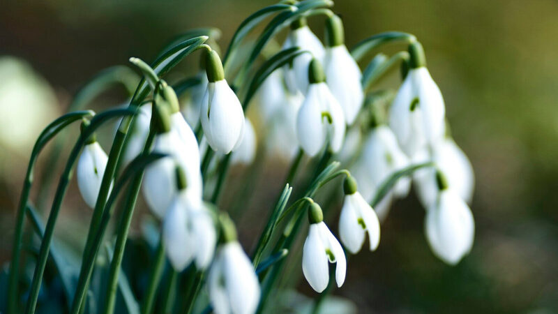 Тепліший за норму, але не скрізь: синоптики дали прогноз на березень в Україні