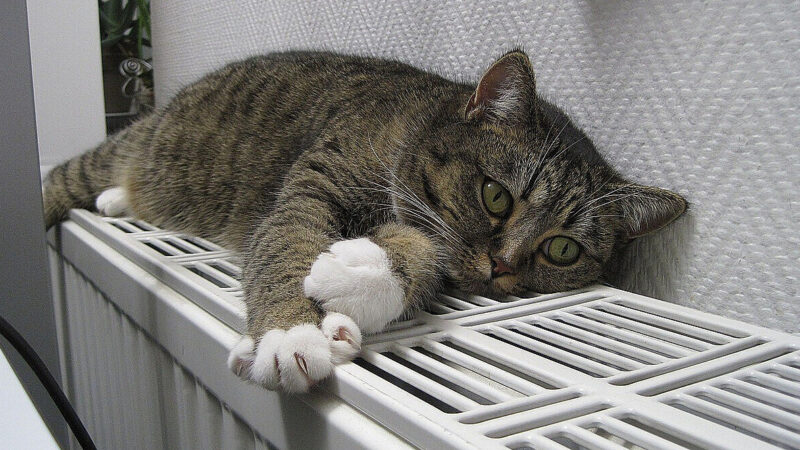 У Києві повернули опалення ще в 400 будинків – Кличко