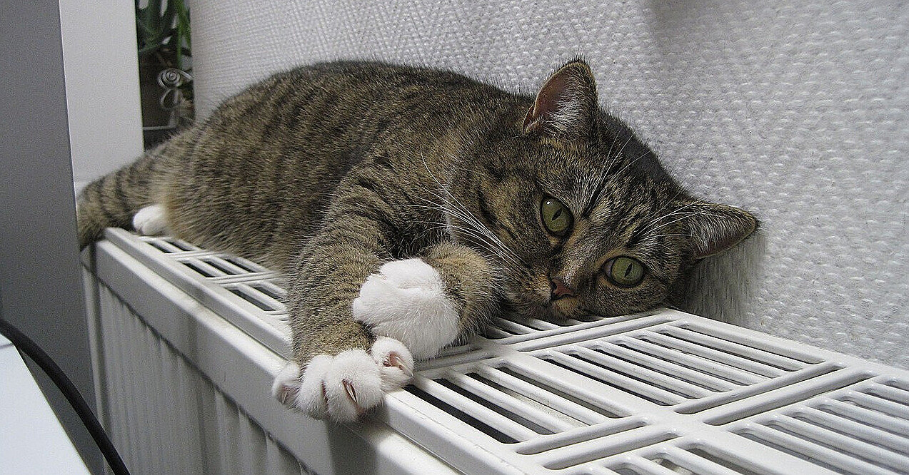 Які будинки в Києві залишаться без тепла до кінця зими: адреси