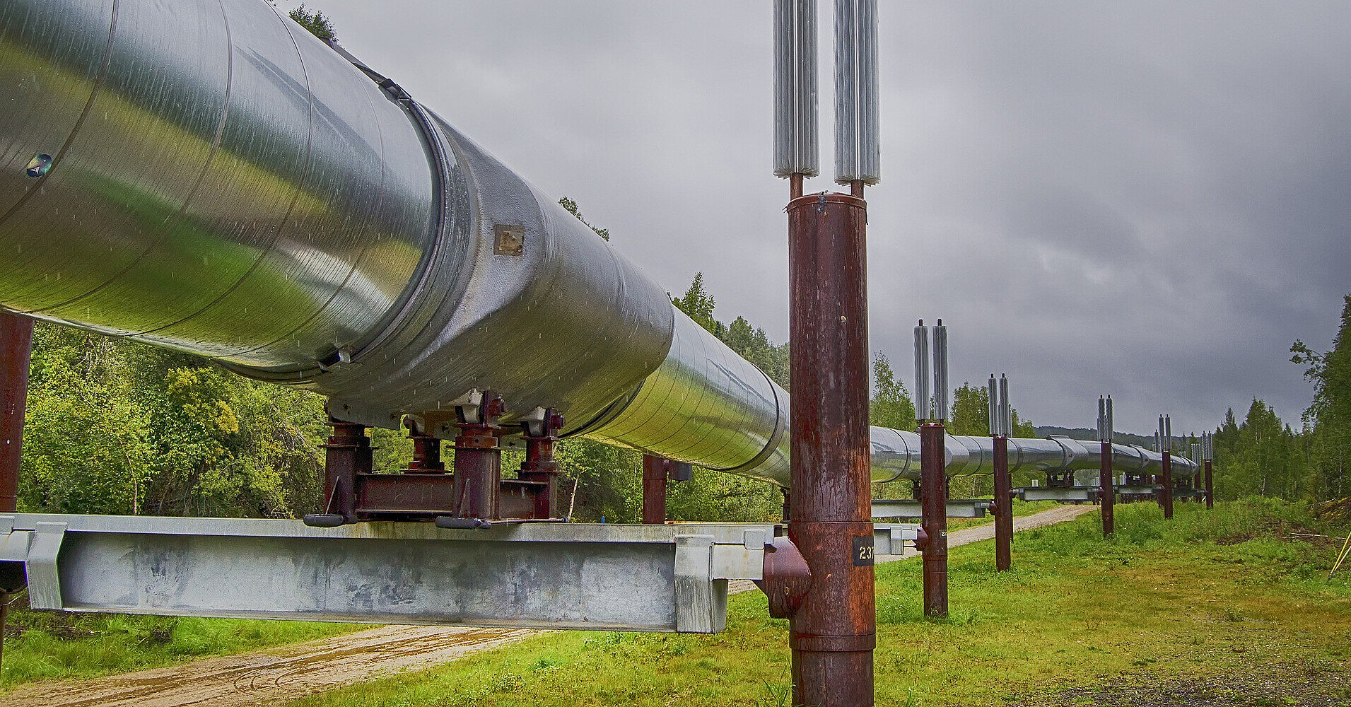 Україна пропонує ЄС нафтопровід “Одеса-Броди” замість пошкодженої “Дружби”