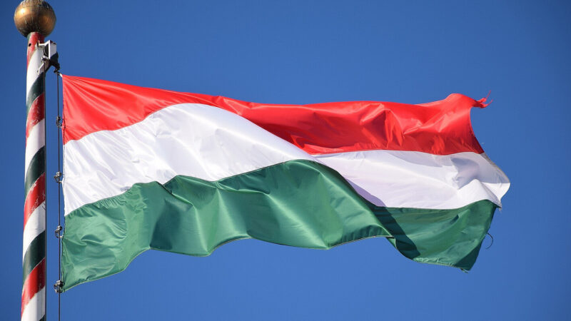 На виборах в Угорщині візьму участь тезко лідера опозиції