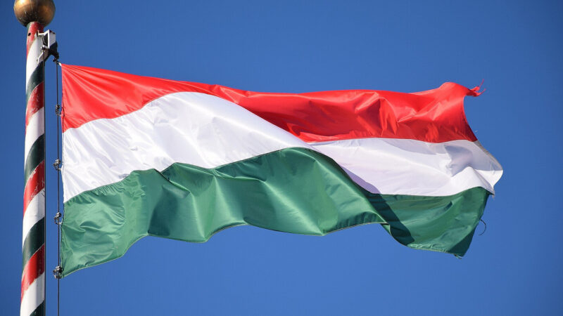 Затримання українських інкасаторів: Угорщина заявила про відмивання грошей