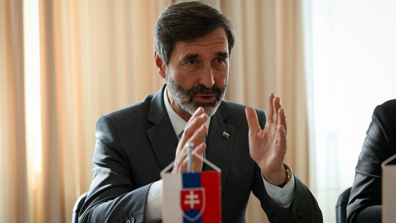 Словаччина не вірить, що Україна відновить “Дружбу” за півтора місяця