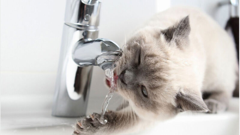 У Дніпрі масово відключатимуть воду боржникам: список адрес