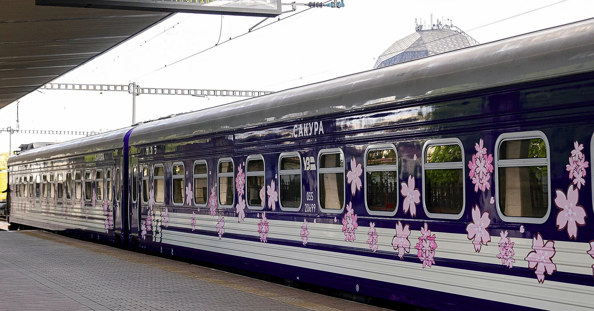 “Укрзалізниця” вивела на маршрут Київ — Ужгород новий поїзд “Сакура”